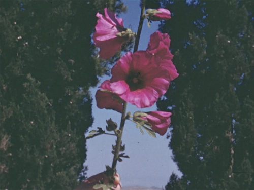 TFSSW Still 2 Web (1)